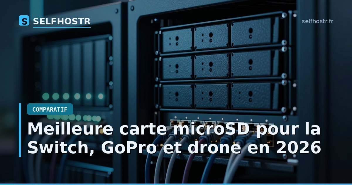 Meilleure carte microSD pour la Switch, GoPro et drone en 2026